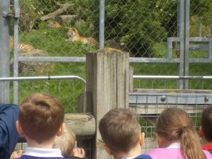 easter candle, marwell and phonics 155