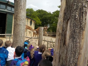 easter candle, marwell and phonics 192