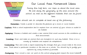 our local area hw